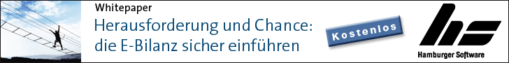 Banner HS_Whitepaper_EBilanz.gif