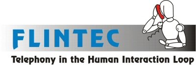 Firmenlogo FLINTEC InformationsTechnologien GmbH Mannheim