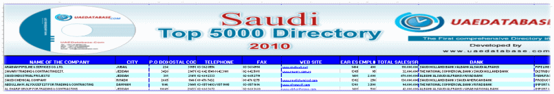 Screenshot Top 5000 Companies Saudi