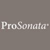 Projekte einfach online verwalten und fakturieren mit der ProSonata Agentursoftware