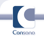 Firmenlogo Consono Consult GmbH Hamburg
