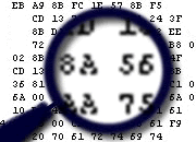 Firmenlogo CO-INT SYSTEMS LTD Datenrettung Hannover Hannover