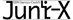 Firmenlogo Juni-X EDV-Service GmbH Hamburg
